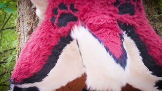 The Dog Days of Summer