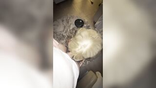 Tattooed Blond Chick's Taut Cunt Gets Slammed Unfathomable