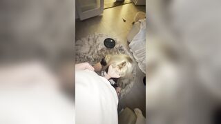 Tattooed Blond Chick's Taut Cunt Gets Slammed Unfathomable