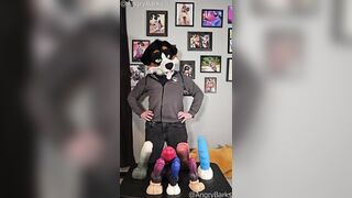 WILL THE KNOT FIT? @AngryBarks tries poking 6 Weredog toys into Azure's Snoot