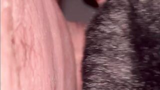 Gf can’t get over large wang with anal toy and creampie