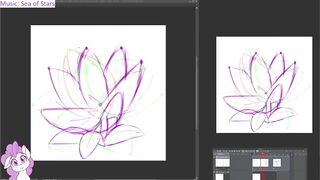 dstears 08 11 2024 B