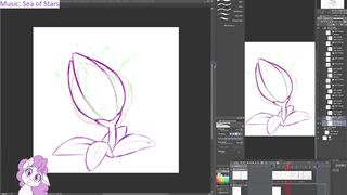 dstears 08 11 2024 B