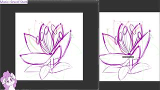 dstears 08 11 2024 B