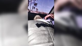 Suck the head of that schlong