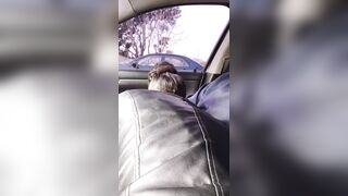 Suck the head of that schlong