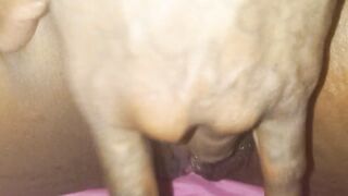 AMATEUR BLACK LATE COUCH TIME VAGINA PLAY AFTER DARKSOME