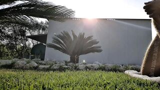 grosso cazzo squirta litri di precum, sborra all'aperto IG:Dodgyitalian199