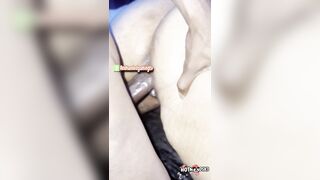 Our every day routine previous to couch