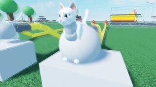 Cat Cum Reservoir Inflation