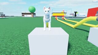 Cat Cum Reservoir Inflation