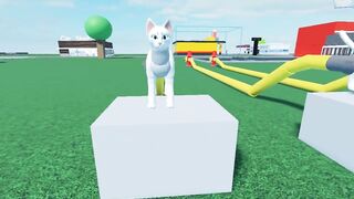 Cat Cum Reservoir Inflation