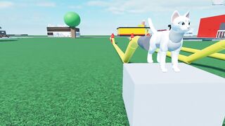 Cat Cum Reservoir Inflation