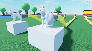 Cat Cum Reservoir Inflation