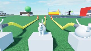 Cat Cum Reservoir Inflation