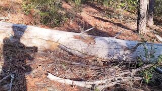 nearly got caught on nature trail