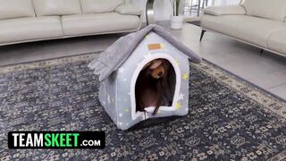 Sneaky Mia’s 4th of July Discipline