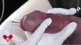 Flawless extraction of semen directly from the urethra. Close-up of the glass straw sounding.