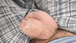 Soft to Juicy (UNCOMMON WANG HEAD)