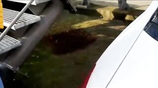 MEGA Public ..Sie bläst meinen Schwanz so Öffentlich wie...