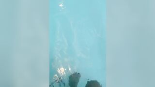 Flashing at swiming pool
