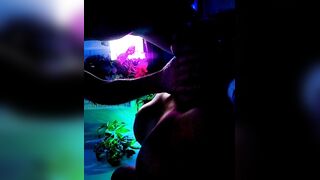 Tasting dad's knob is the merely thing that makes me cum