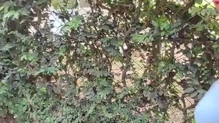 charming slim brunette hair is filmed by her boyfriend whilst this babe changes her blouse on the street