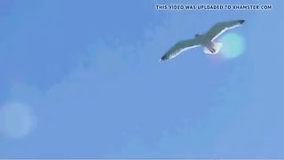 snr celebrities she lick her pussy 