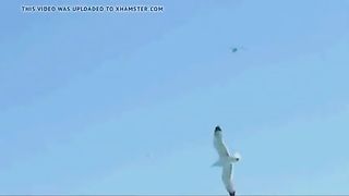 snr celebrities she lick her pussy 