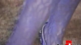 Incredible babe Porsche Lynn in lesbian teasing foursome