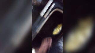 Kay.. why Kjamesz always giggling ?¿??