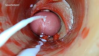 Camera Inside Unfathomable Twat Captures Dose Cumshot of Jizz ASMR