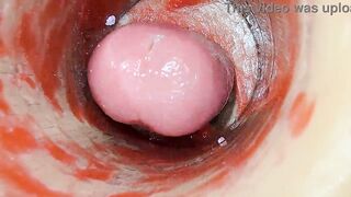 Camera Inside Unfathomable Twat Captures Dose Cumshot of Jizz ASMR
