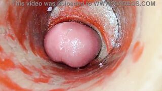 Camera Inside Unfathomable Twat Captures Dose Cumshot of Jizz ASMR