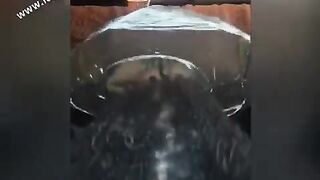 Black Sloppy Fellatio and Riding a Bbc