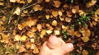 hunk with a large weenie discharges three streams of cum in the forest