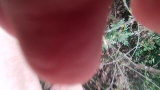 stripped in the wood, walk in the brambles near road