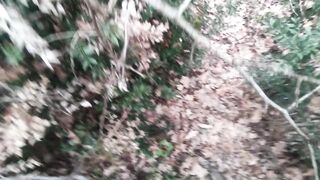 stripped in the wood, walk in the brambles near road