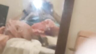 Verga Mexicana 22CM semi-erecta