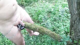 suspendu a un arbre avec cadenas minuteur 15 min