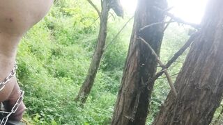 suspendu a un arbre avec cadenas minuteur 15 min