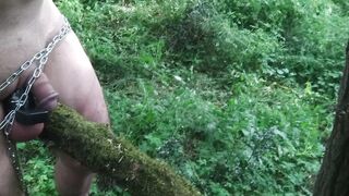 suspendu a un arbre avec cadenas minuteur 15 min