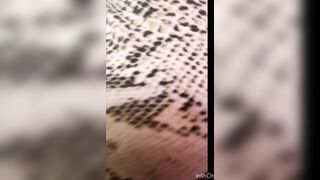 PAWG for the Large Dawg