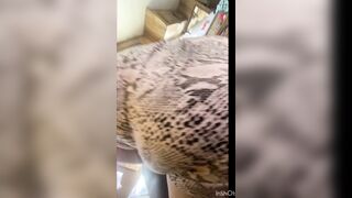 PAWG for the Large Dawg