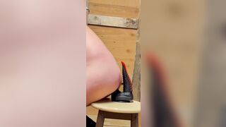 double dilly insertion three