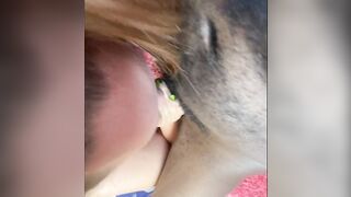 That babe likes the jock two