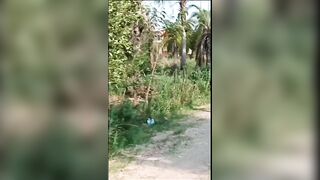 Pillo a la mujer de mi mejor amigo Roberto en la calle termino reafirmandole las tripas