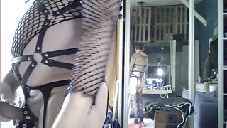 harness, cock sex-toy