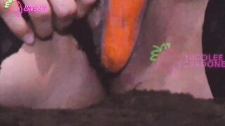 Soy una coneja comiendo zanahoria por mi panocha