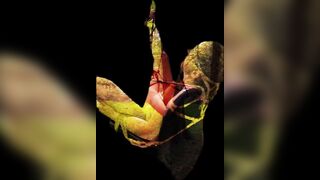 “Supernova” Little Stranger Music For my Shibari Summer!! Music Movie. Shibari Compilation!! Solo!!
